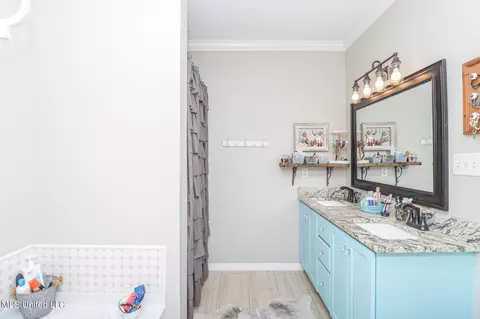 Bath - 116 Mountain View Rd, Brandon, MS 39042 photo 2 of 4
