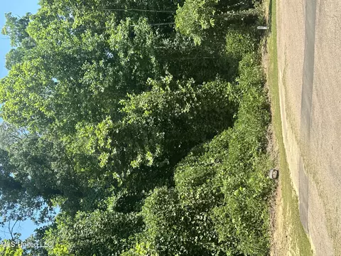 7142 Soaring Oaks Cv, Walls, MS 38680