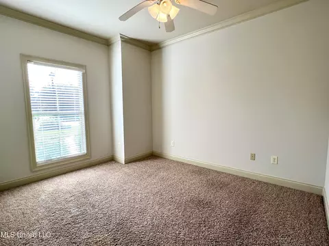 196 Amethyst Dr, Brandon, MS 39047 photo 29