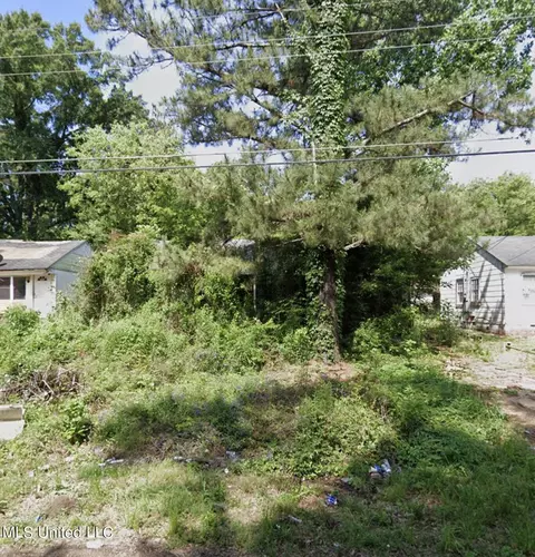 355 Ford Ave, Jackson, MS 39209 photo 1