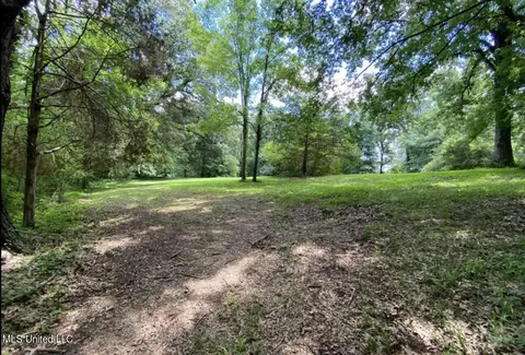 Exterior - 2765 Nesbit Rd, Nesbit, MS 38651 photo 8 of 11
