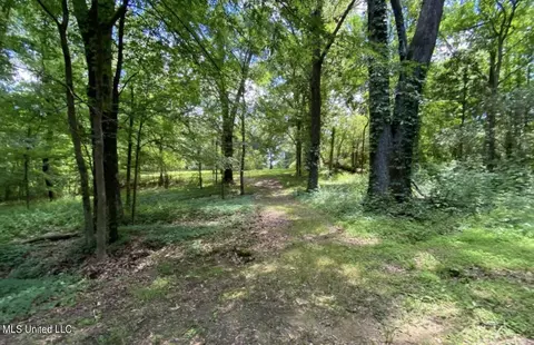 Exterior - 2765 Nesbit Rd, Nesbit, MS 38651 photo 7 of 11