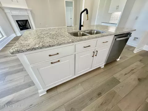Kitchen - 129 Hunters Way, Canton, MS 39046 photo 4 of 4