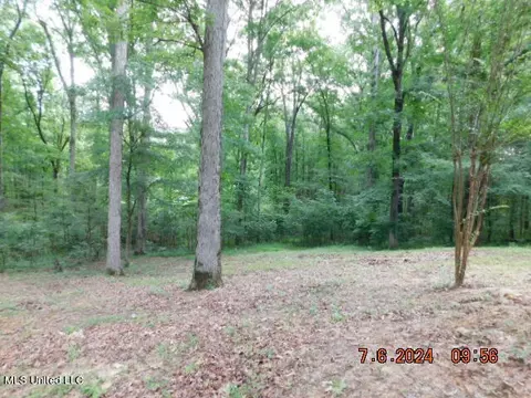 2390 Oak Creek Dr, Hernando, MS 38632 photo 44