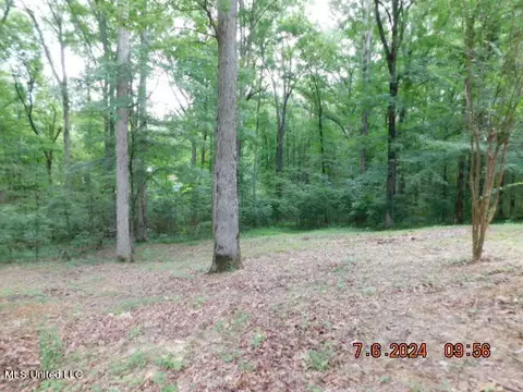 2390 Oak Creek Dr, Hernando, MS 38632 photo 43