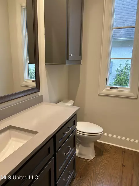 Bath - 317 Penrose Pl, Madison, MS 39110 photo 1 of 6