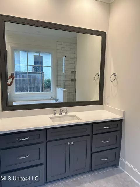 Bath - 317 Penrose Pl, Madison, MS 39110 photo 3 of 6