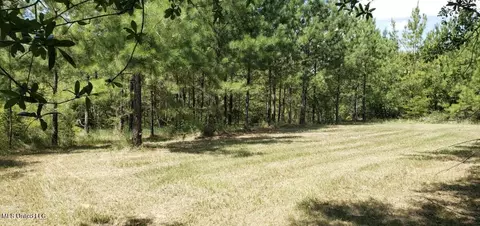 Other - 1030 Man Moulds Rd, Lucedale, MS 39452 photo 7 of 9