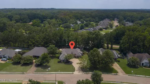 View/Area - 608 Highleadon Pl, Madison, MS 39110 photo 3 of 8