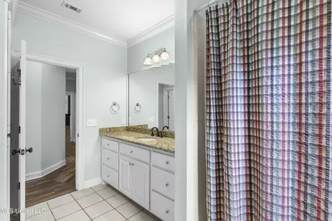 Bath - 608 Highleadon Pl, Madison, MS 39110 photo 7 of 7
