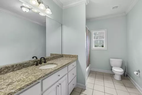 Bath - 608 Highleadon Pl, Madison, MS 39110 photo 6 of 7