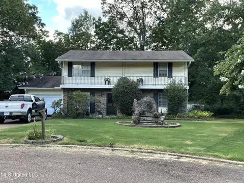 277 Byhalia Cv, Hernando, MS 38632