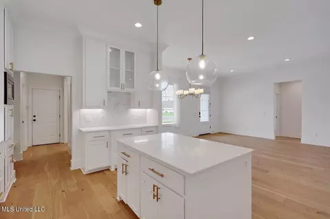Other - 135 Herons Bay Cir, Madison, MS 39110 photo 2 of 7