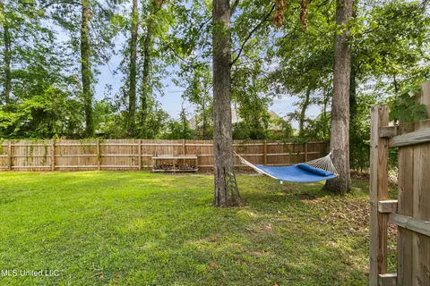 305 Camelia Trl, Brandon, MS 39047 photo 43
