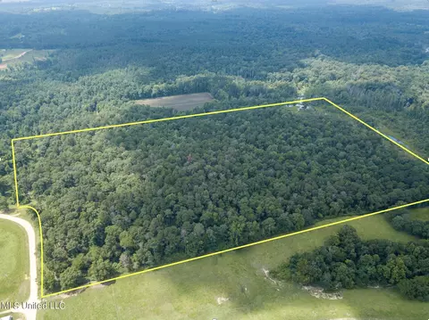 2 Mississippi 501, Raleigh, MS 39153