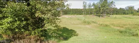 lot2 Fogg Rd, Nesbit, MS 38651 photo 2