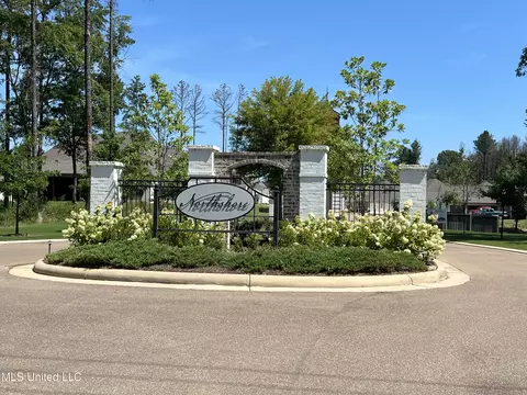 1226 Cutter Ln, Brandon, MS 39047 photo 47