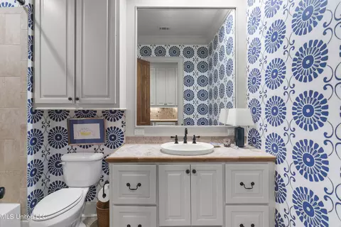 Bath - 107 Fenwick Cir, Madison, MS 39110 photo 10 of 11