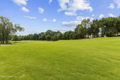 Exterior - 107 Fenwick Cir, Madison, MS 39110 photo 24 of 27