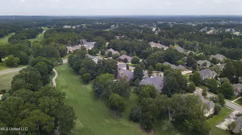 View/Area - 107 Fenwick Cir, Madison, MS 39110 photo 9 of 12