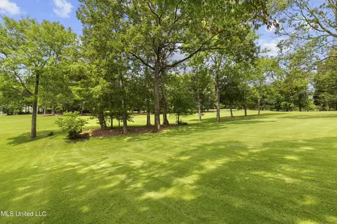 Exterior - 107 Fenwick Cir, Madison, MS 39110 photo 22 of 27