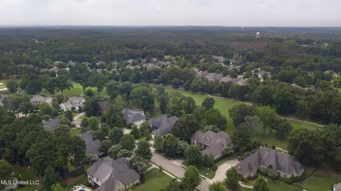 View/Area - 107 Fenwick Cir, Madison, MS 39110 photo 3 of 12