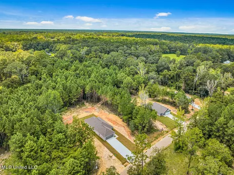 10219 Possum Fork Rd, Picayune, MS 39466 photo 21