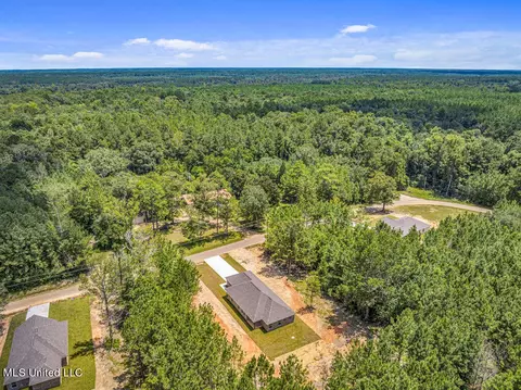 10219 Possum Fork Rd, Picayune, MS 39466 photo 19