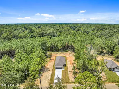 10219 Possum Fork Rd, Picayune, MS 39466 photo 17