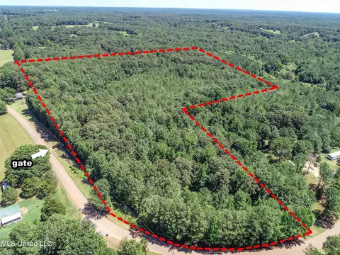 1575 State Park Rd, Sardis, MS 38666 photo 5