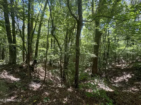 1575 State Park Rd, Sardis, MS 38666 photo 24