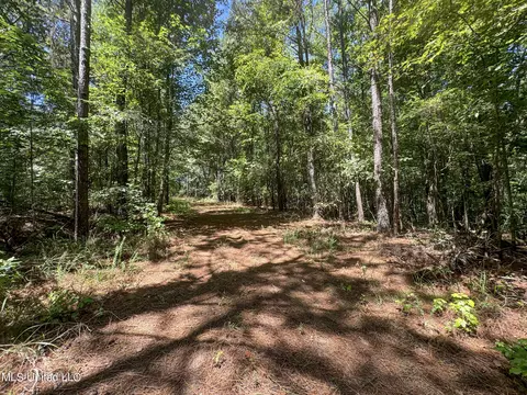 1575 State Park Rd, Sardis, MS 38666 photo 27
