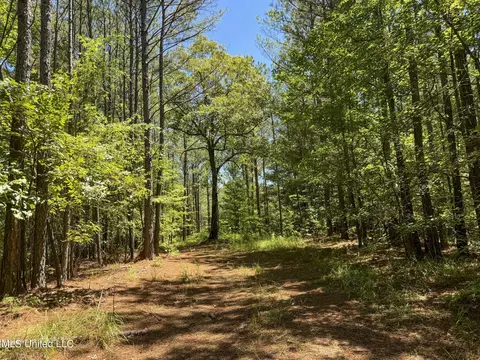 1575 State Park Rd, Sardis, MS 38666 photo 26