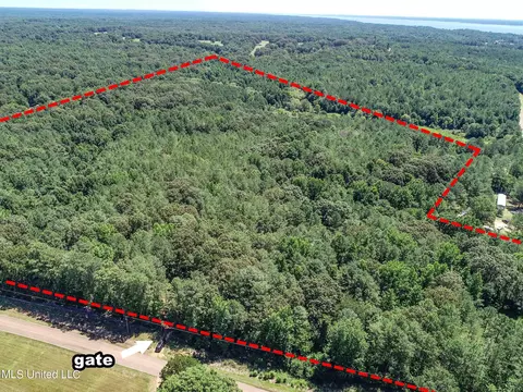 1575 State Park Rd, Sardis, MS 38666 photo 4