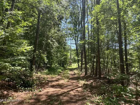 1575 State Park Rd, Sardis, MS 38666 photo 36