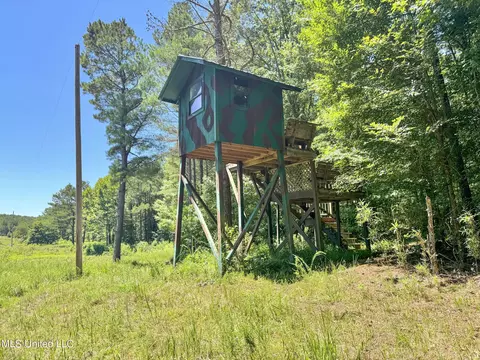 1575 State Park Rd, Sardis, MS 38666 photo 41