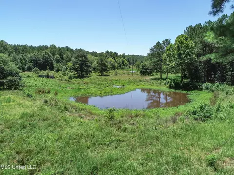 1575 State Park Rd, Sardis, MS 38666 photo 17