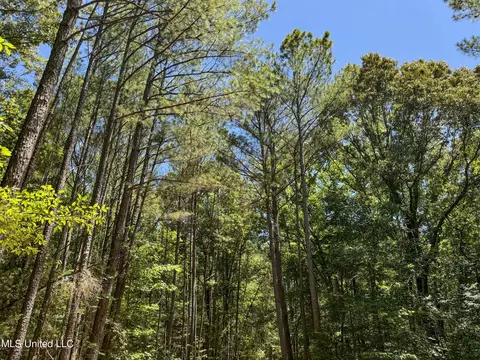 1575 State Park Rd, Sardis, MS 38666 photo 23