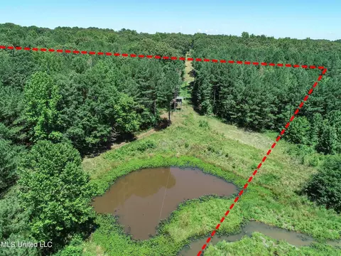 1575 State Park Rd, Sardis, MS 38666 photo 12