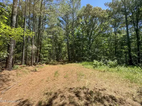 1575 State Park Rd, Sardis, MS 38666 photo 22