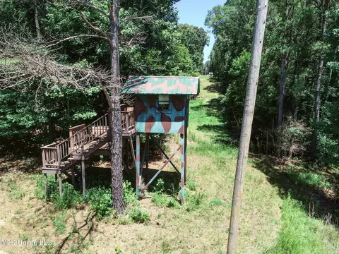 1575 State Park Rd, Sardis, MS 38666 photo 14