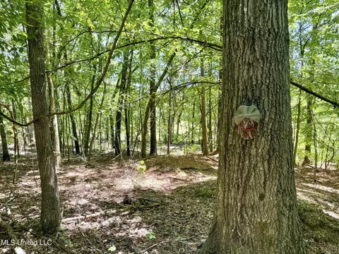 1575 State Park Rd, Sardis, MS 38666 photo 44