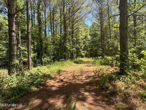 1575 State Park Rd, Sardis, MS 38666 photo 31