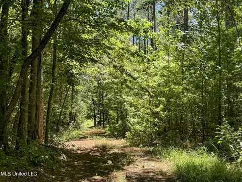 1575 State Park Rd, Sardis, MS 38666 photo 35