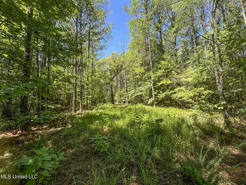 1575 State Park Rd, Sardis, MS 38666 photo 29