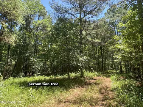 1575 State Park Rd, Sardis, MS 38666 photo 33