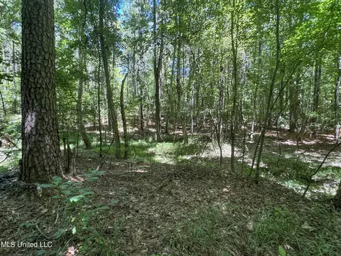 1575 State Park Rd, Sardis, MS 38666 photo 46