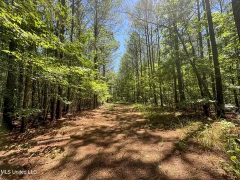 1575 State Park Rd, Sardis, MS 38666 photo 25
