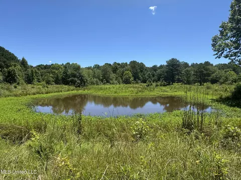 1575 State Park Rd, Sardis, MS 38666 photo 42