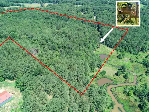 1575 State Park Rd, Sardis, MS 38666 photo 6
